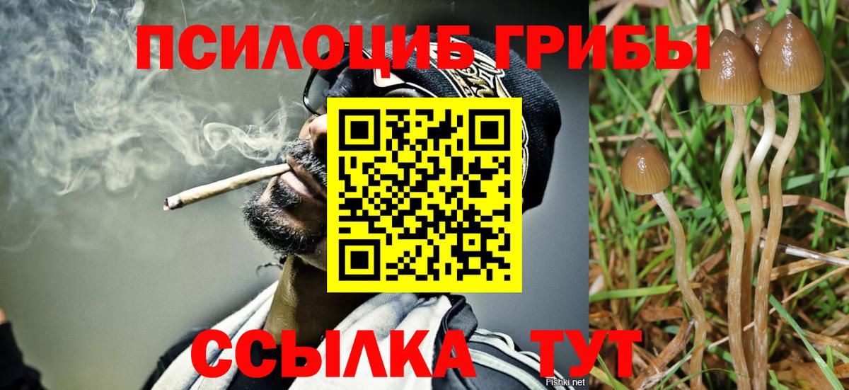 Галлюциногенные грибы GOLDEN TEACHER  Вход с VPN  Гусев  Псилоцибиновые грибы Magic Shrooms 